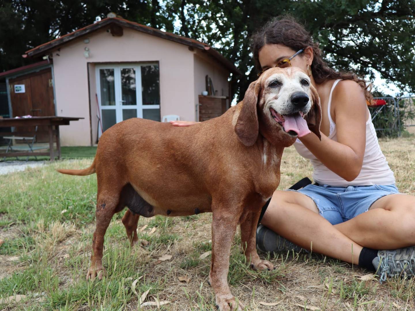 Vuoi adottare un cane a Pisa?