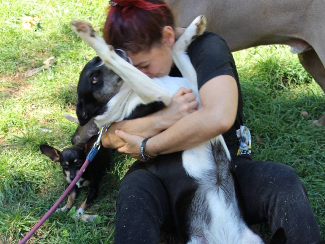 Foto 1 dell'animale