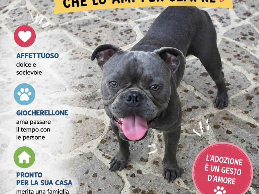 Foto 2 dell'animale