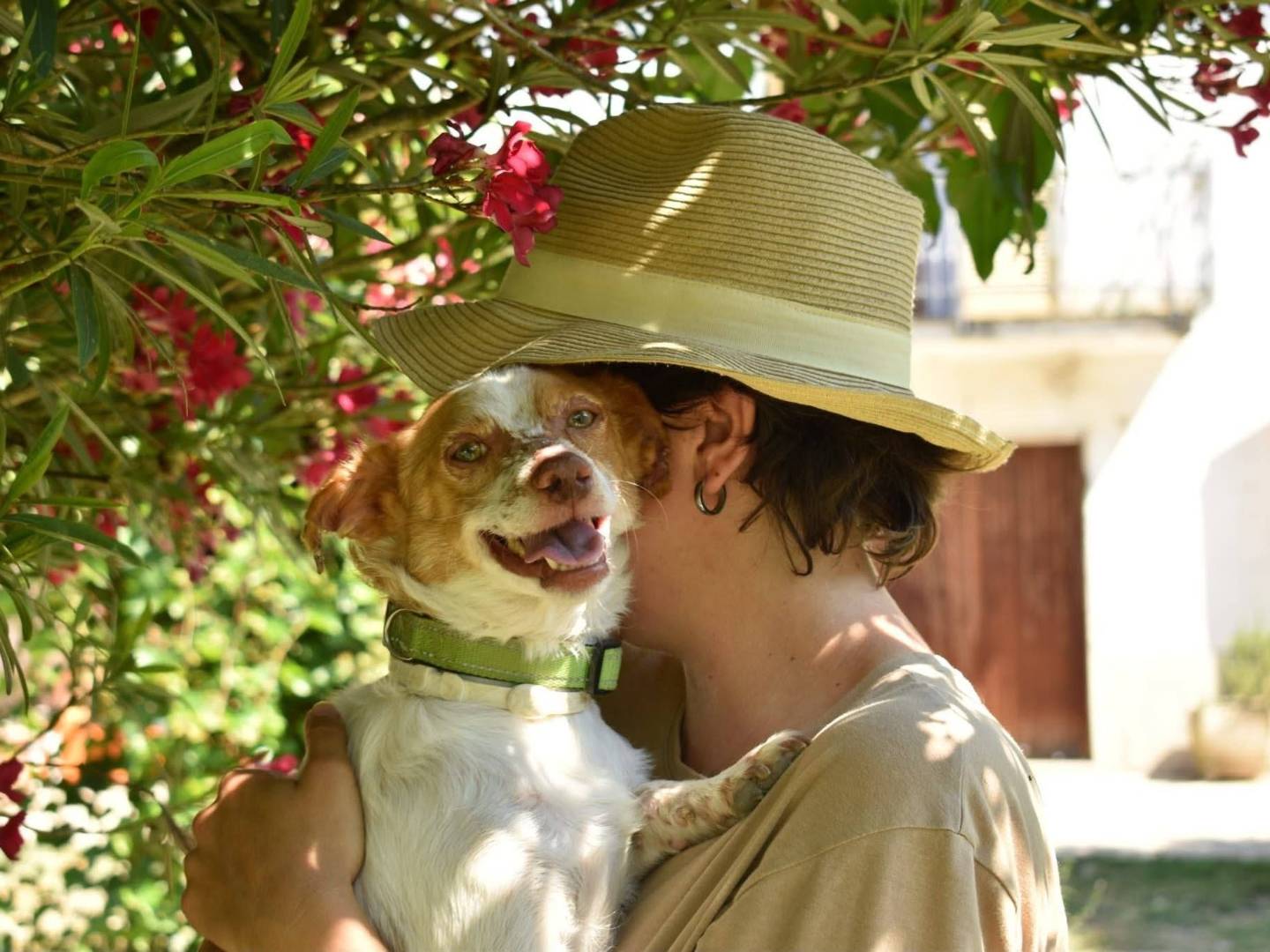 Adotta il cane Sky a Frosinone