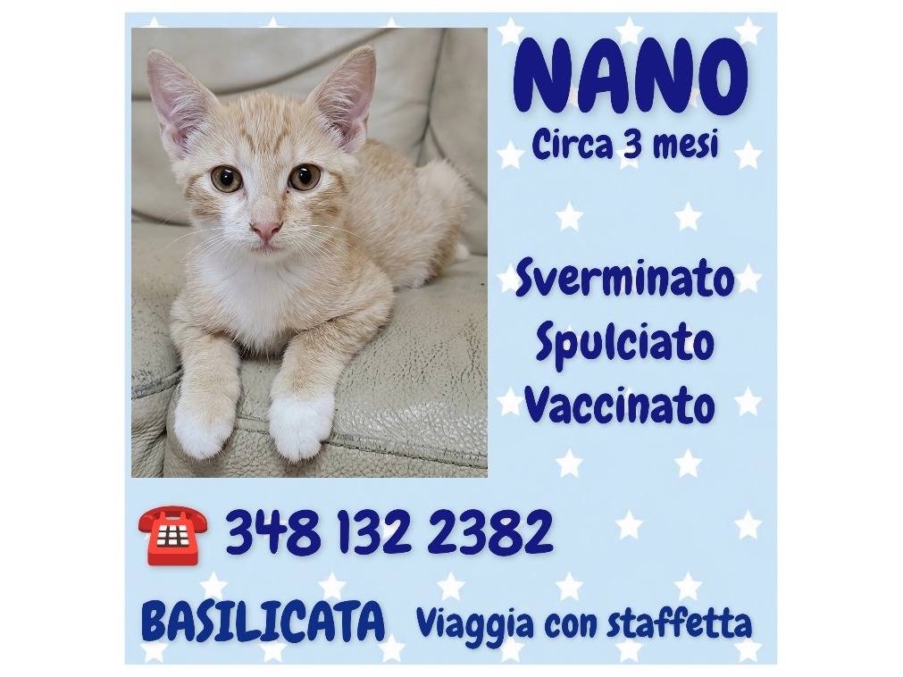 Foto 2 dell'animale