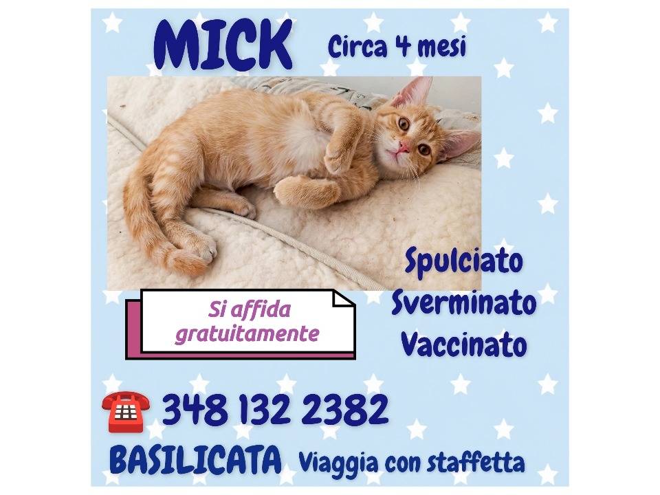 Foto 2 dell'animale