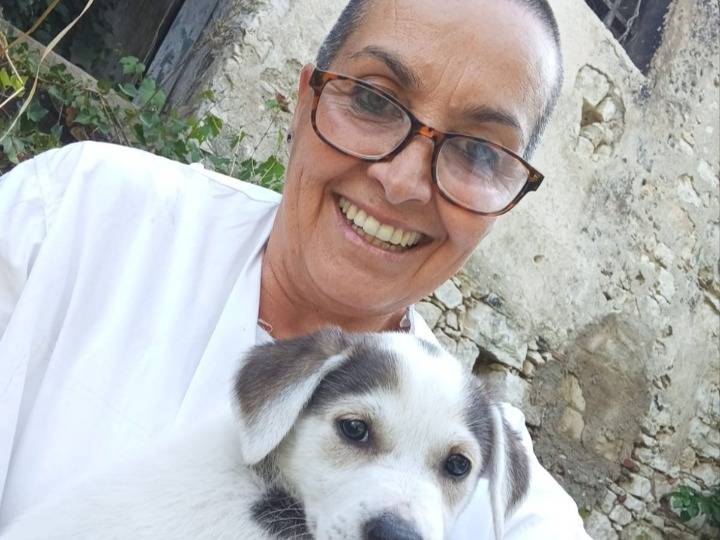 Adotta un cane, taglia media, femmina, Avellino