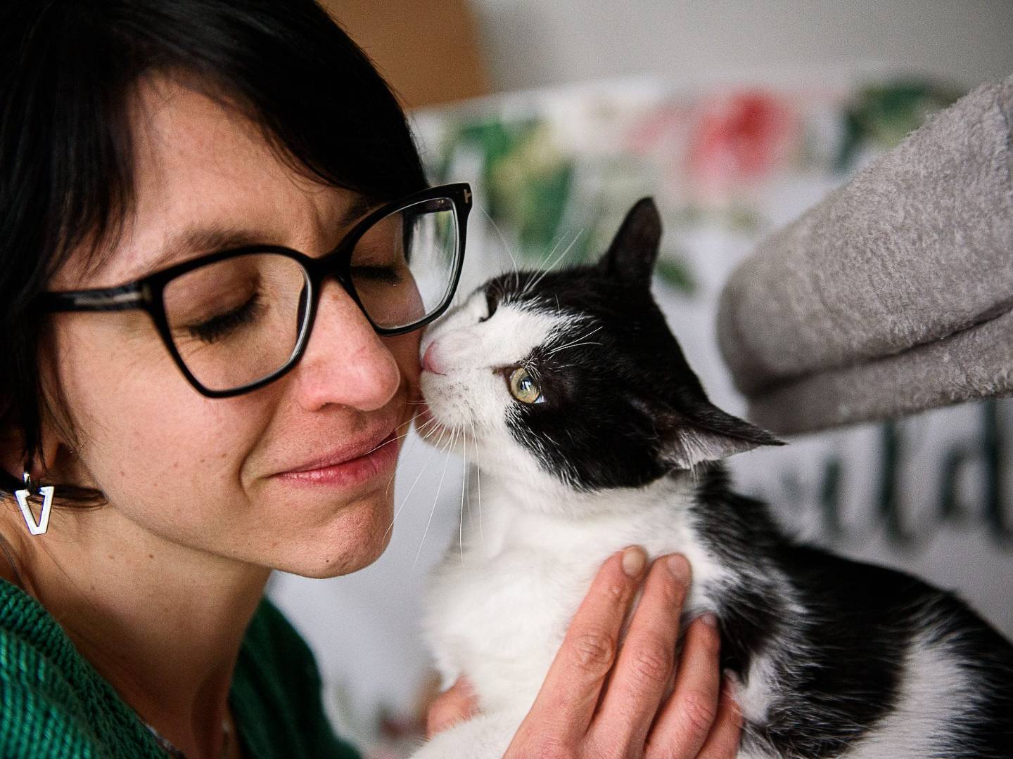 Adotta un gatto, maschio, 1 anno, Genova