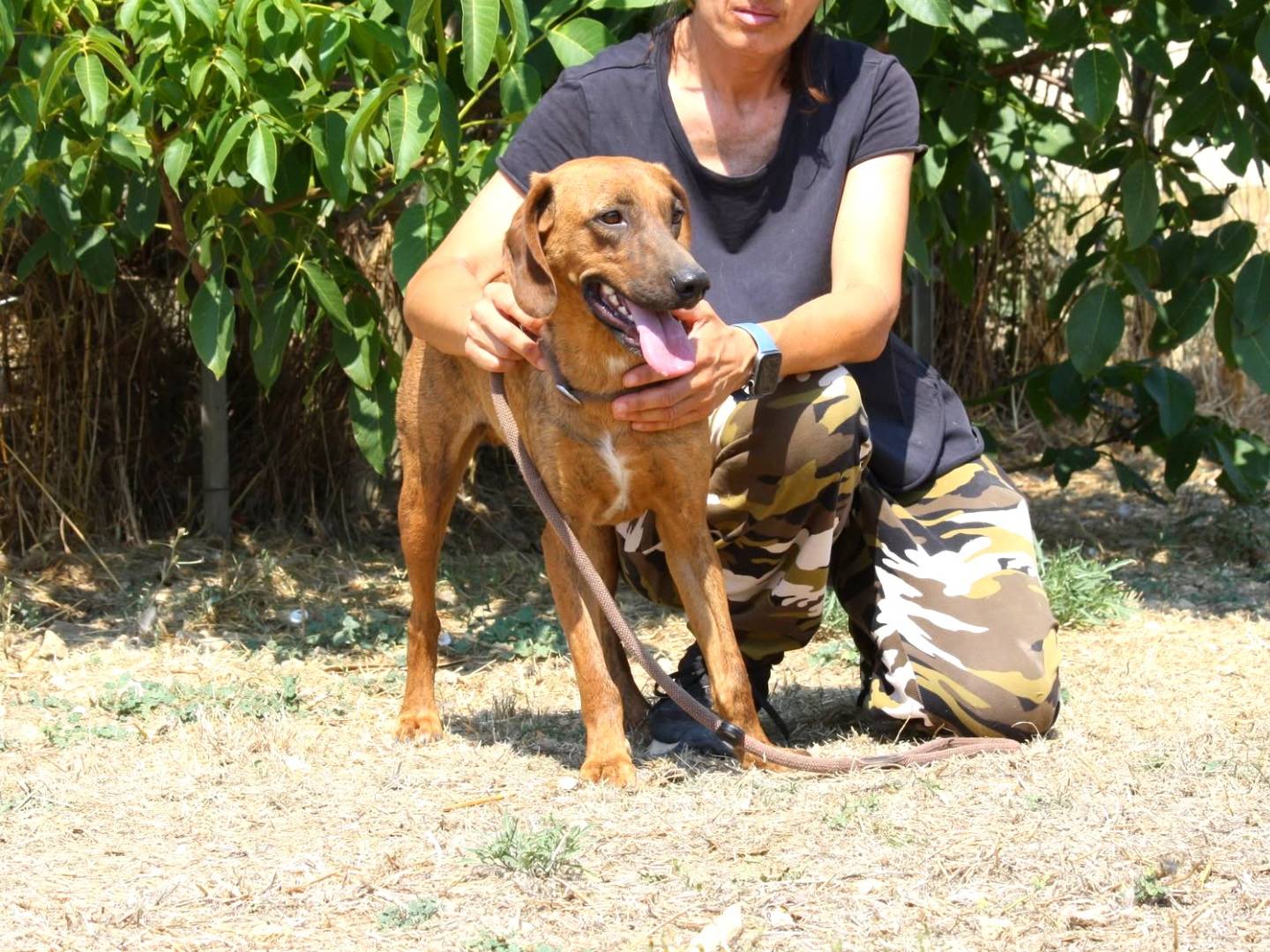 Foto 3 dell'animale
