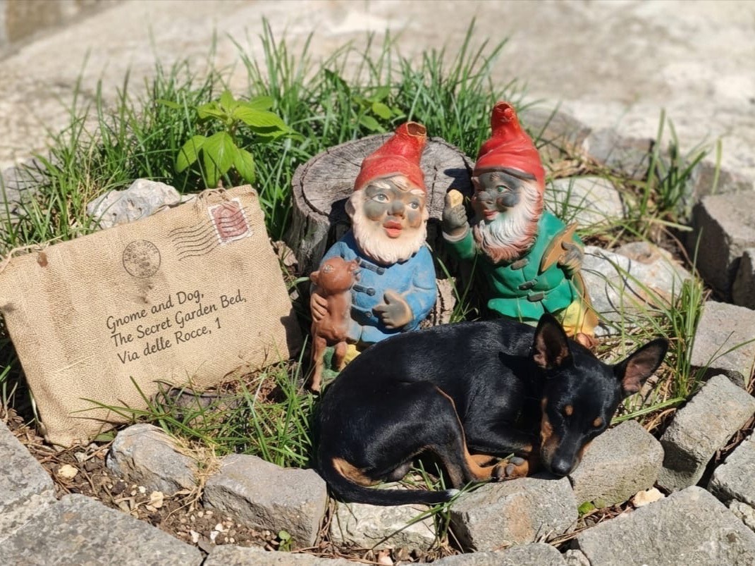 Vuoi adottare un cane a Cosenza?