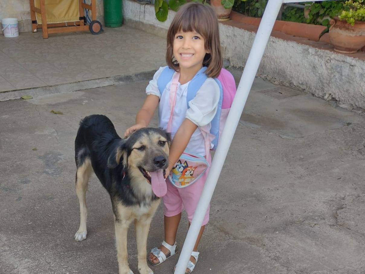 Adozione cane, maschio, Razza sconosciuta Pastore maremmano, 1 anno e 3 mesi, taglia media, Catania