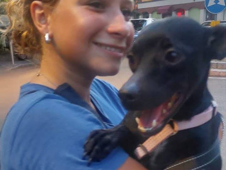 Adozione cane, maschio, Pinscher Razza sconosciuta, 1 anno e 6 mesi, taglia piccola, Milano