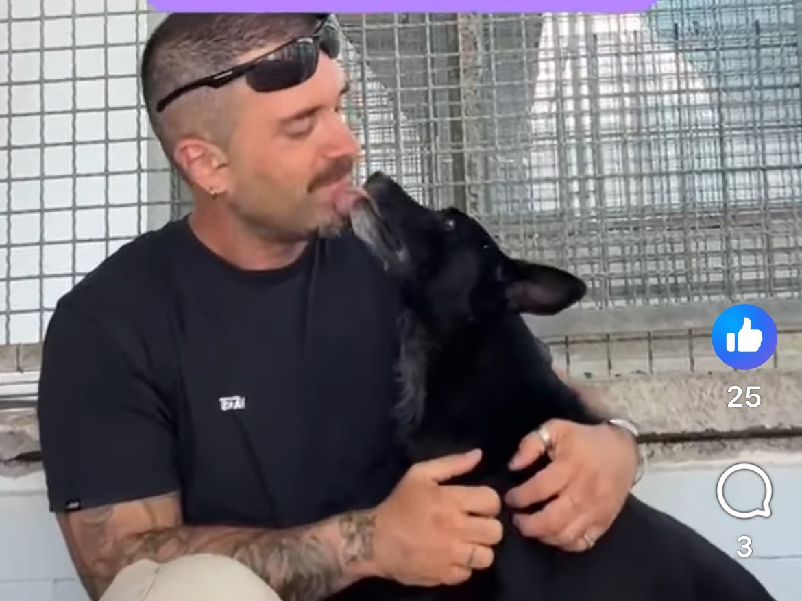 Adotta un cane, taglia piccola, femmina, Caserta