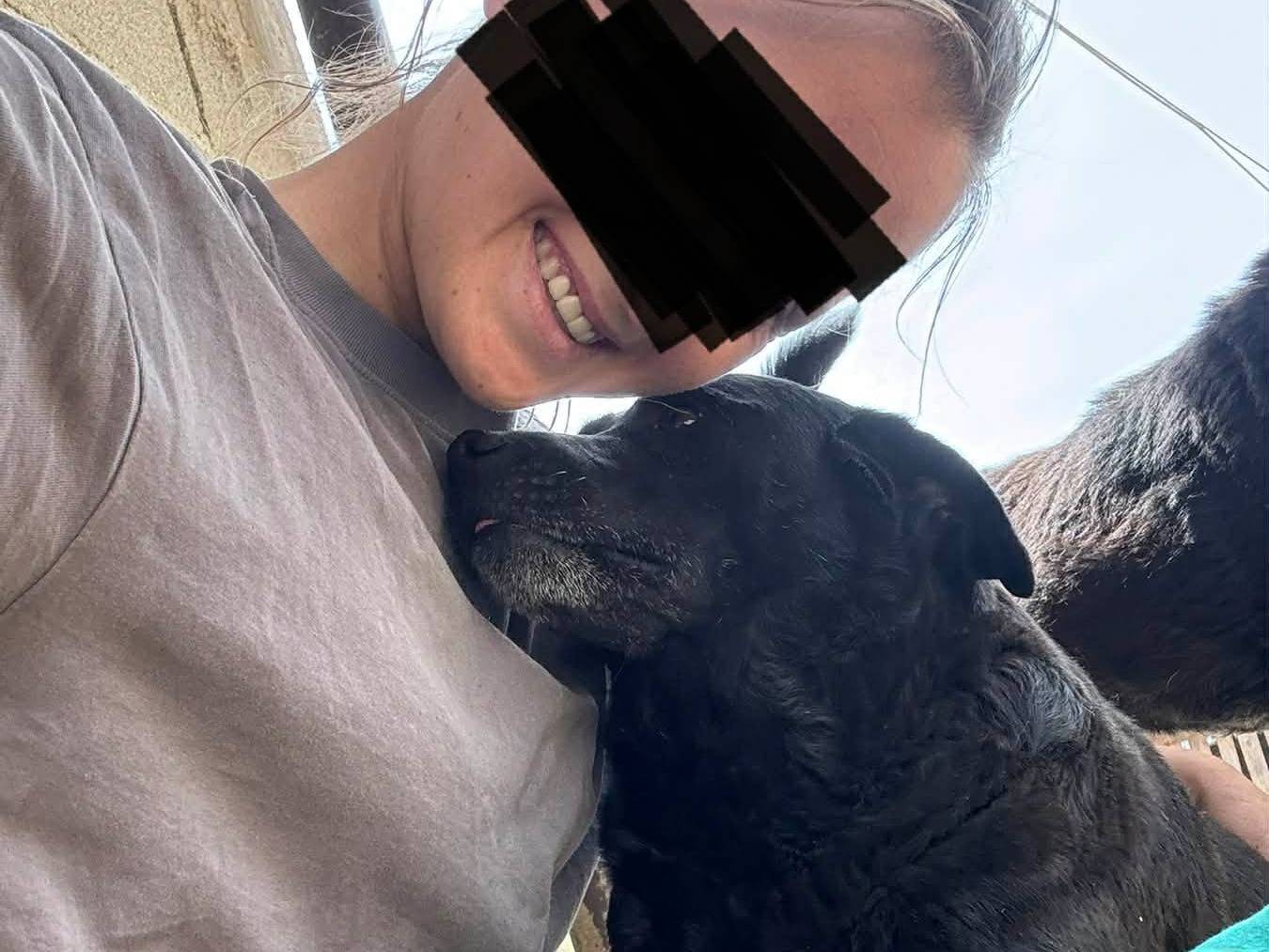 Adotta un cane, taglia media, femmina, Firenze