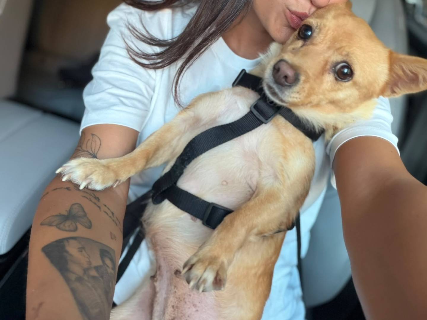 Vuoi adottare un cane a Bari?