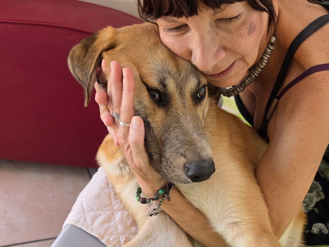 Vuoi adottare un cane a Salerno?