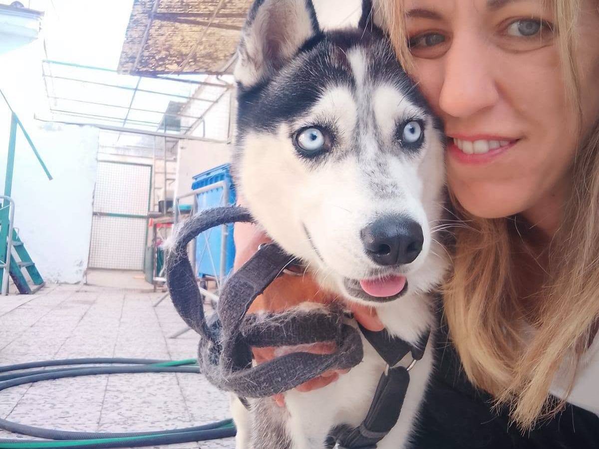 Adotta il cane kira a Caserta