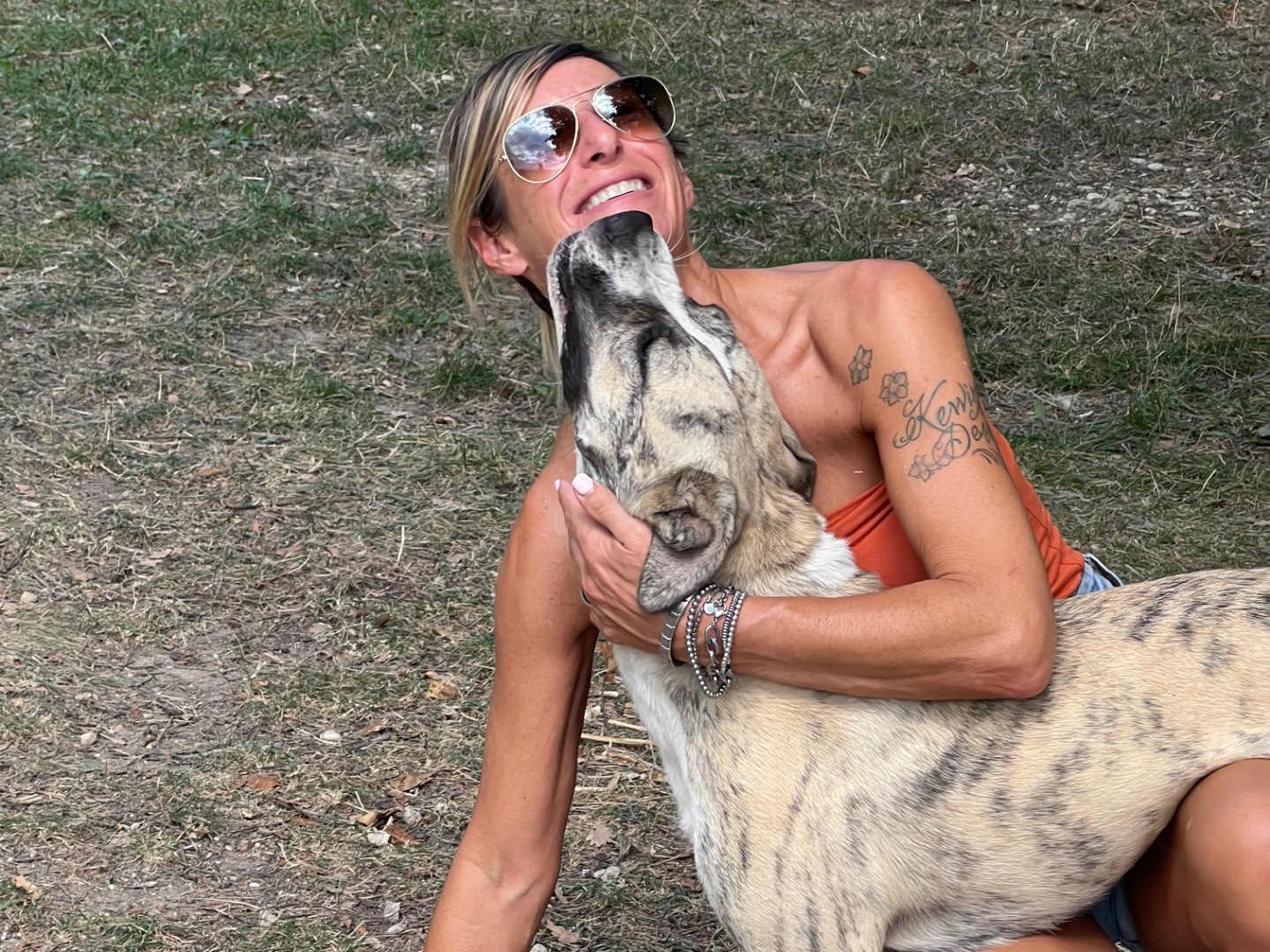 Adotta un cane, taglia media, femmina, Rieti