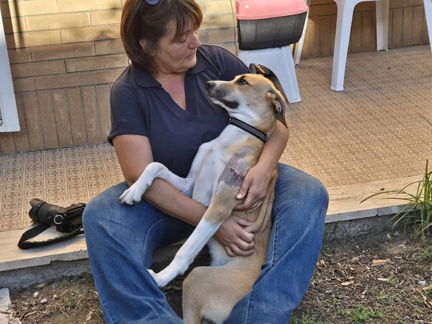 Vuoi adottare un cane a Roma?