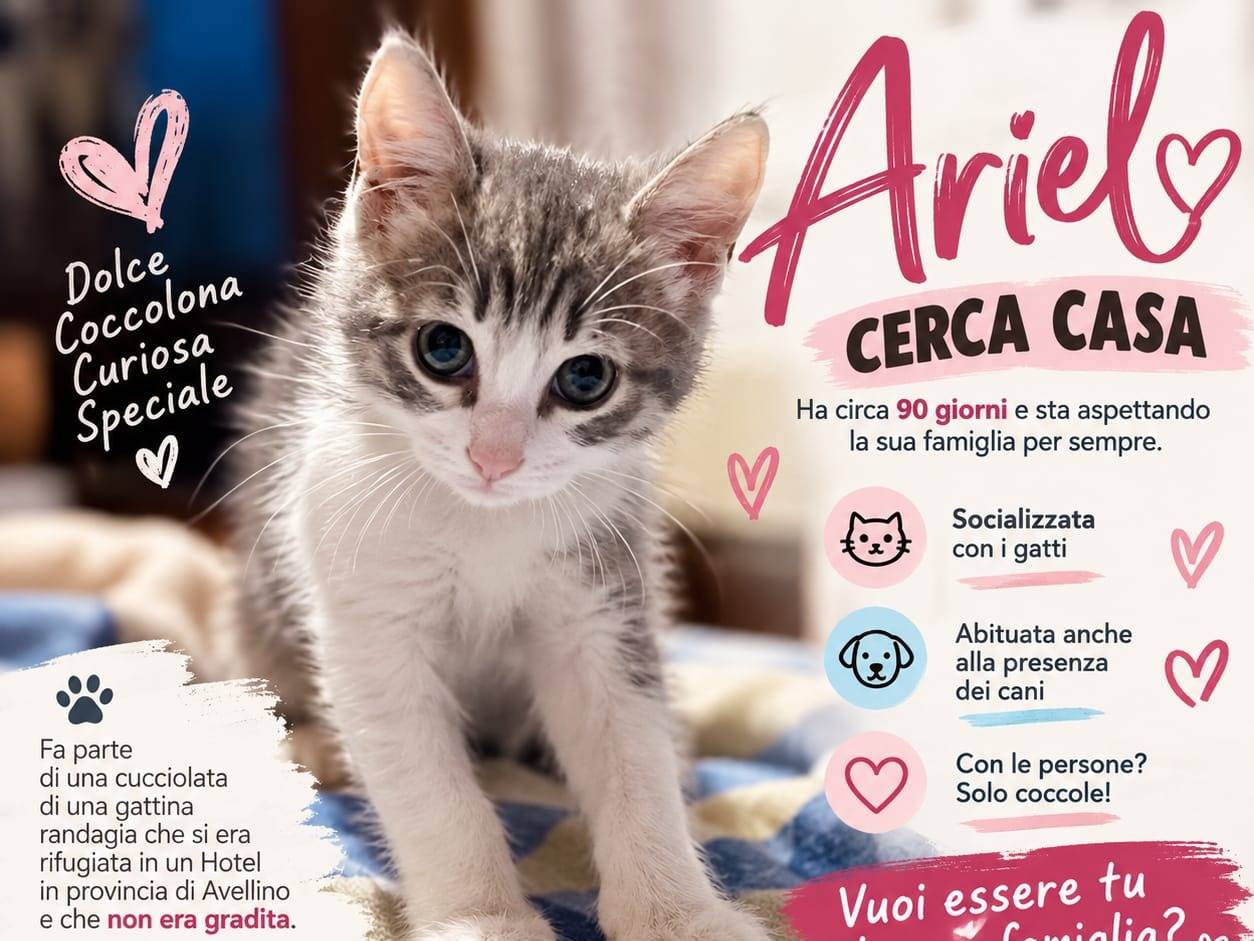 Foto 3 dell'animale