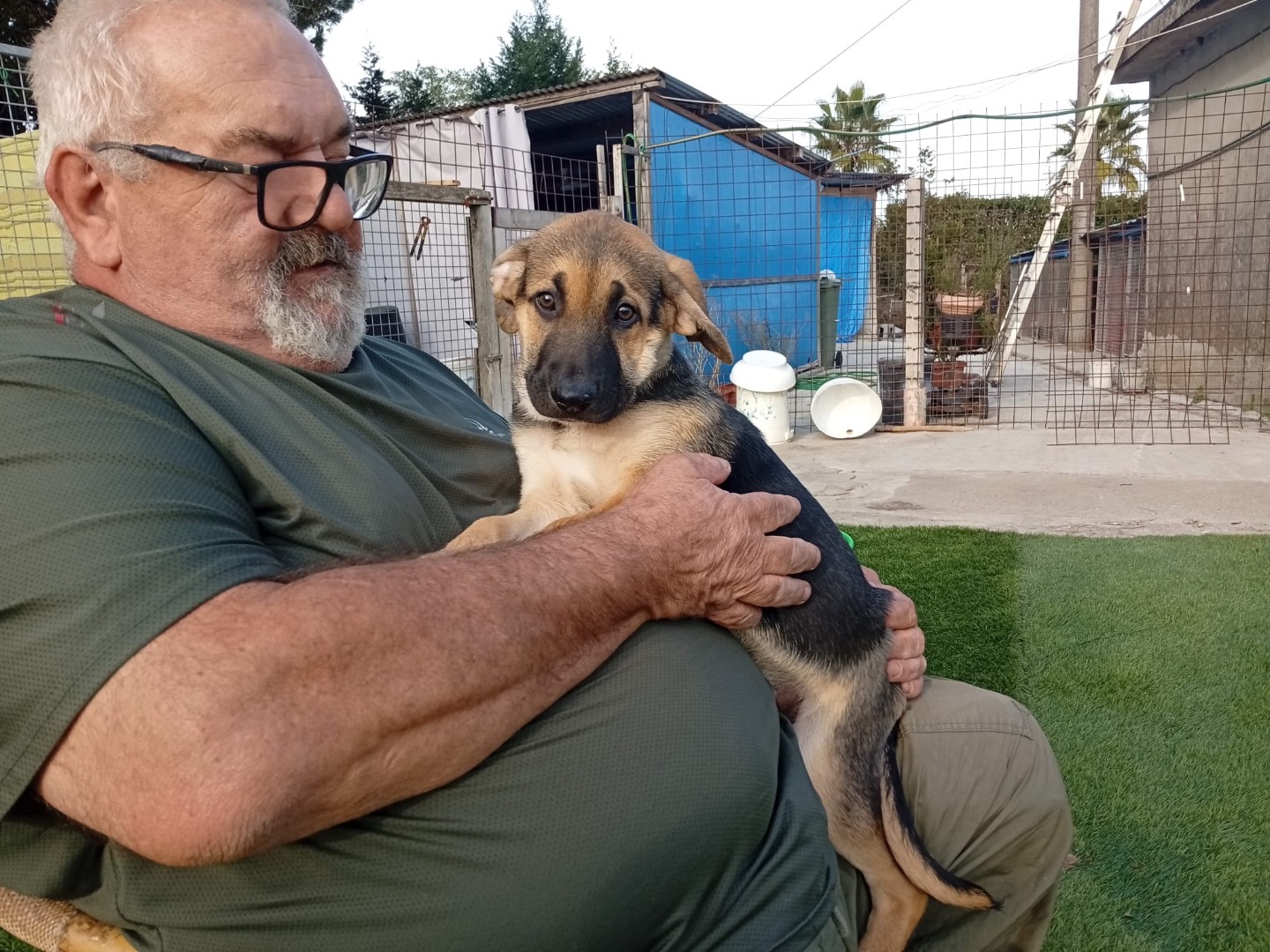 Vuoi adottare un cane a Crotone?